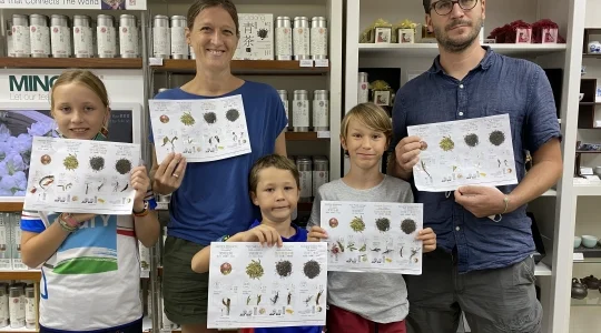 イメージ：親子で楽しめるファミリープラン